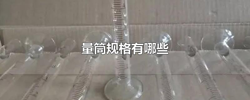 量筒规格有哪些