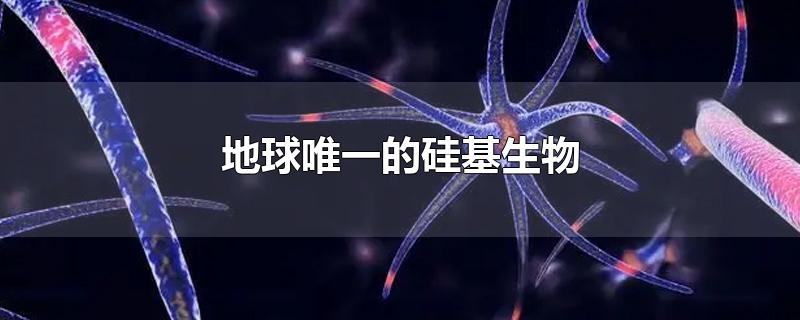 硅基生物可能的样子图片