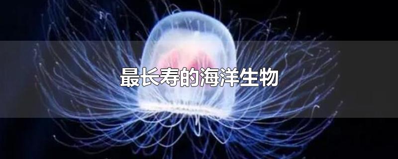 最长寿的海洋生物-最新最长寿的海洋生物整理解答