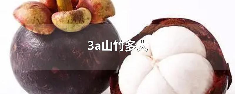 3a山竹多大-最新3a山竹多大整理解答