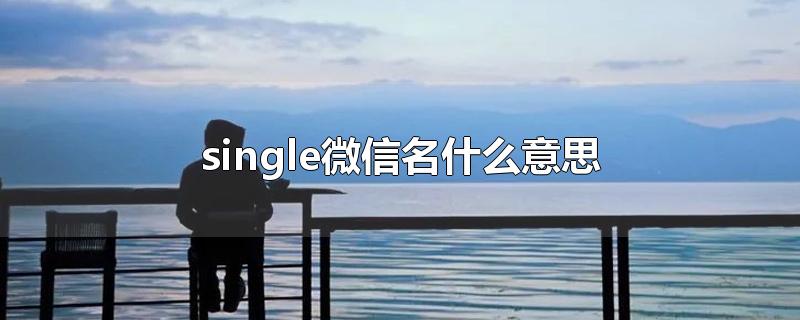 single微信名什么意思