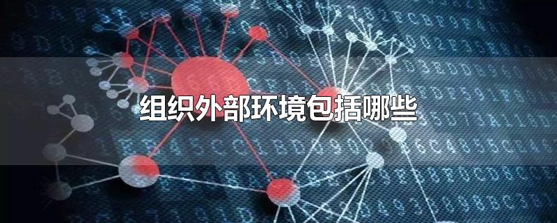 组织外部环境包括哪些-最新组织外部环境包括哪些整理解答