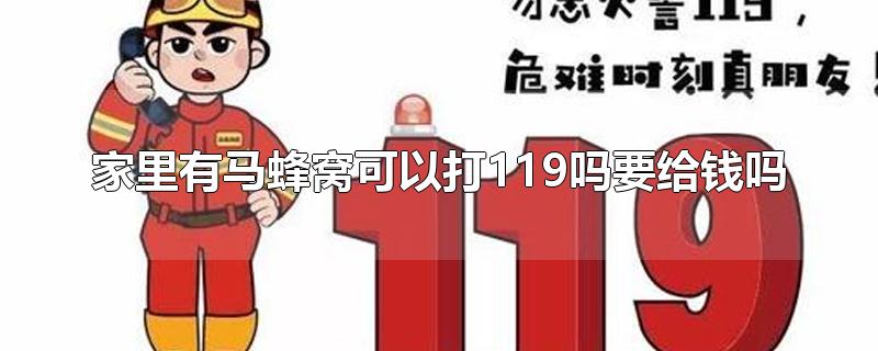 家里有马蜂窝可以打119吗要给钱吗-最新家里有马蜂窝可以打119吗要给钱吗整理解答