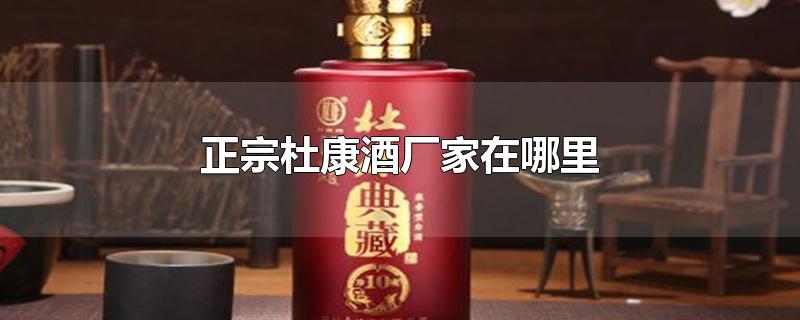 正宗杜康酒厂家在哪里