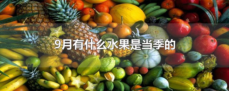 9月有什么水果是当季的