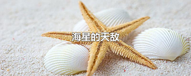 海星的天敌-最新海星的天敌整理解答