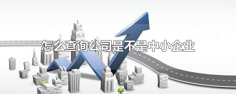 怎么查询公司是不是中小企业