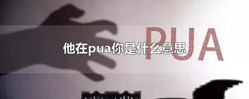 他在pua你是什么意思-最新他在pua你是什么意思整理解答