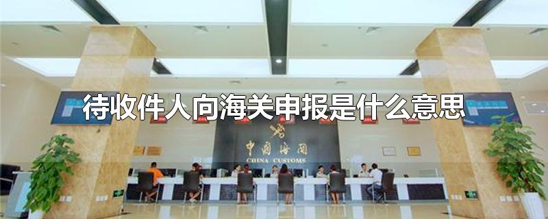 待收件人向海关申报是什么意思