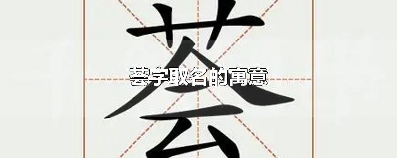 荟字取名的寓意