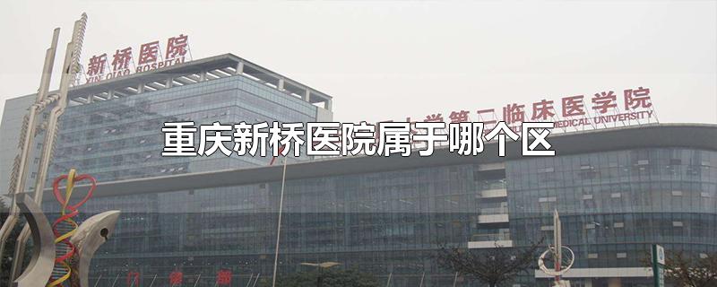 重庆新桥医院属于哪个区-最新重庆新桥医院属于哪个区整理解答