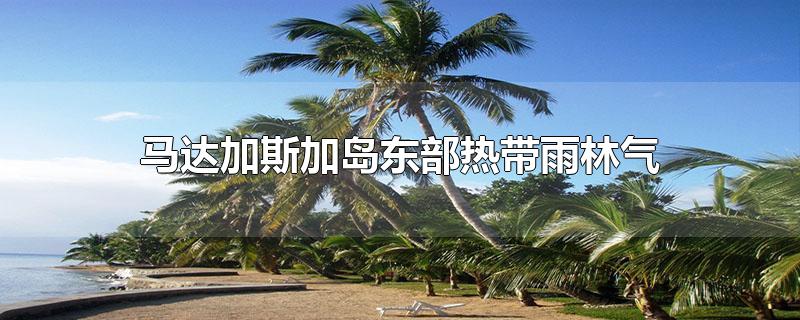 马达加斯加岛东部热带雨林气候的成因-最新马达加斯加岛东部热带雨林气候的成因整理解答