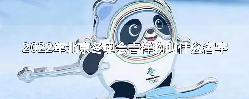 2022年北京冬奥会吉祥物叫什么名字