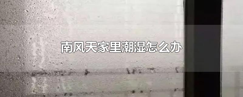 南风天家里潮湿怎么办-最新南风天家里潮湿怎么办整理解答