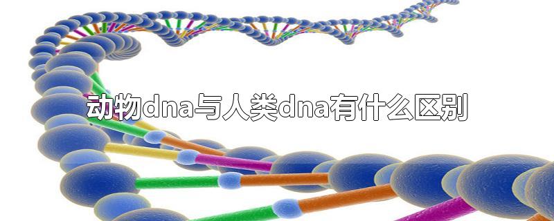 动物dna与人类dna有什么区别-最新动物dna与人类dna有什么区别整理解答