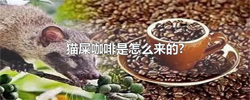 猫屎咖啡是怎么来的?-最新猫屎咖啡是怎么来的?整理解答