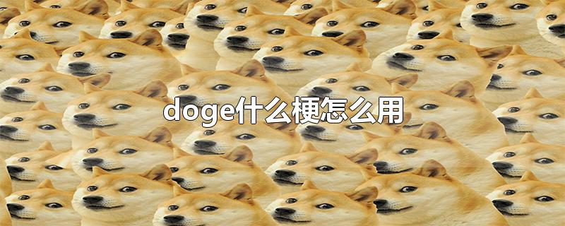 doge什么梗怎么用-最新doge什么梗怎么用整理解答