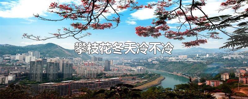 攀枝花冬天冷不冷-最新攀枝花冬天冷不冷整理解答