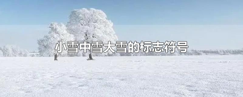 大雪小雪中雪气象标志图片