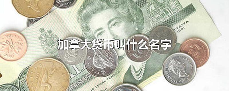 加拿大货币叫什么名字-最新加拿大货币叫什么名字整理解答