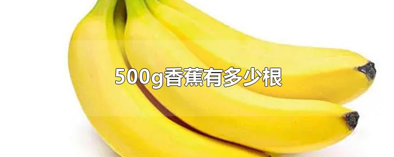 500g香蕉有多少根