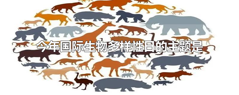 今年国际生物多样性日的主题是