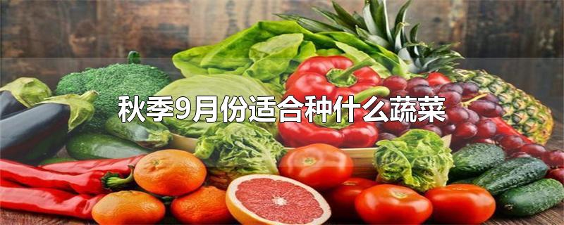 秋季9月份适合种什么蔬菜-最新秋季9月份适合种什么蔬菜整理解答