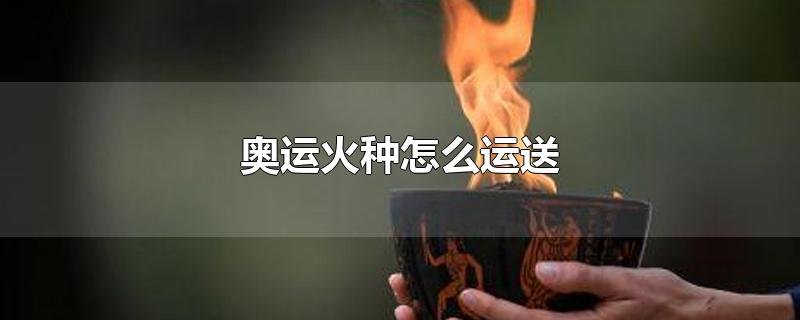 奥运火种怎么运送-最新奥运火种怎么运送整理解答