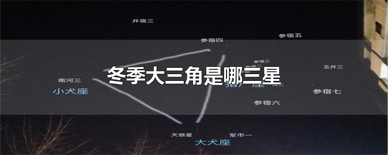 冬季大三角是哪三星-最新冬季大三角是哪三星整理解答