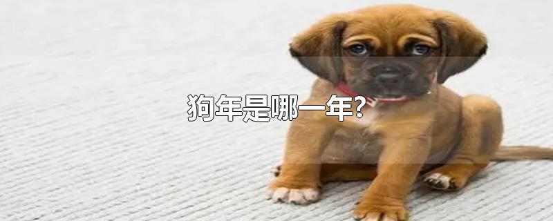 狗年是哪一年?-最新狗年是哪一年?整理解答