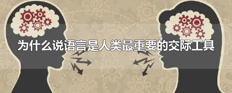 为什么说语言是人类最重要的交际工具-最新为什么说语言是人类最重要的交际工具整理解答