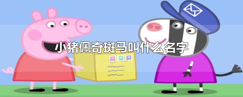 小猪佩奇斑马叫什么名字