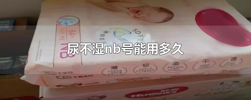 尿不湿nb号能用多久