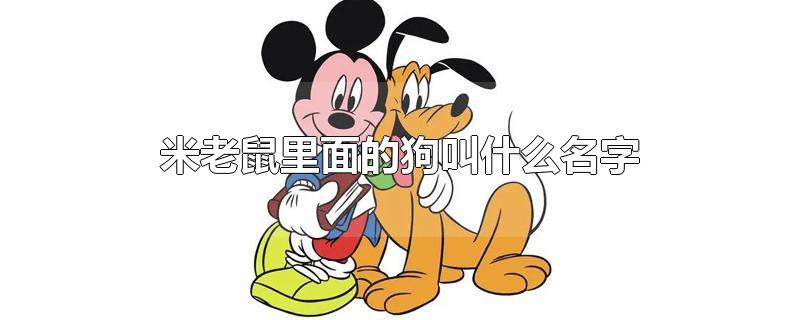 米老鼠里面的狗叫什么名字-最新米老鼠里面的狗叫什么名字整理解答