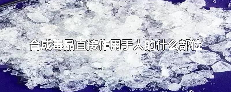 合成毒品直接作用于人的什么部位