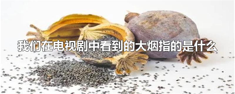 我们在电视剧中看到的大烟指的是什么