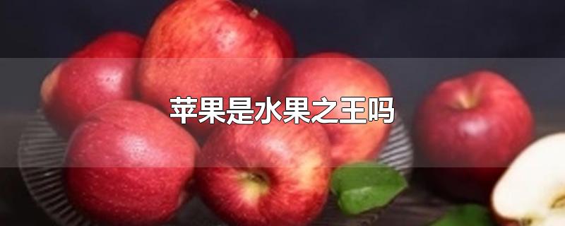 苹果是水果之王吗-最新苹果是水果之王吗整理解答