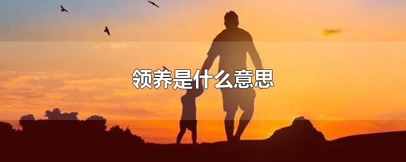 领养是什么意思