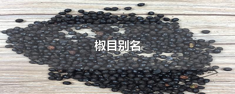 椒目别名-最新椒目别名整理解答