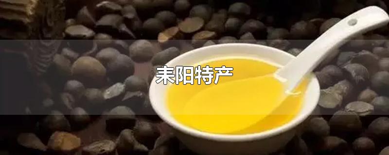 耒阳特产-最新耒阳特产整理解答