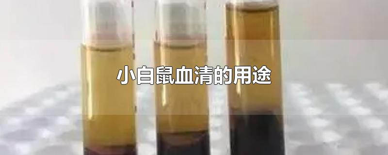 小白鼠血清的用途-最新小白鼠血清的用途整理解答