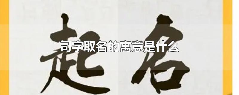 司字取名的寓意是什么