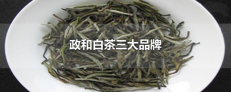 政和白茶三大品牌-最新政和白茶三大品牌整理解答