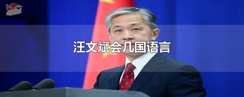 汪文斌会几国语言