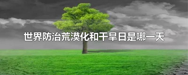 世界防治荒漠化和干旱日是哪一天