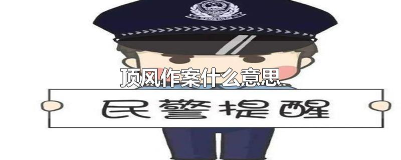 顶风作案什么意思