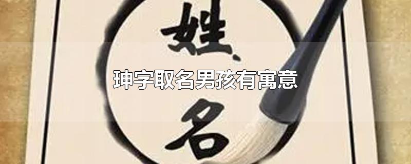 珅字取名男孩有寓意-最新珅字取名男孩有寓意整理解答