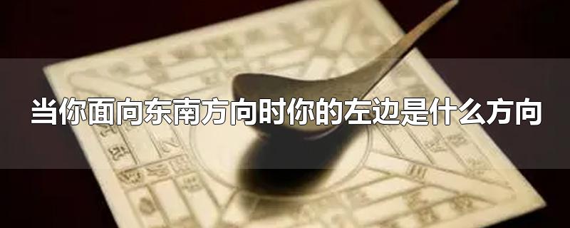 当你面向东南方向时你的左边是什么方向-最新当你面向东南方向时你的左边是什么方向整理解答