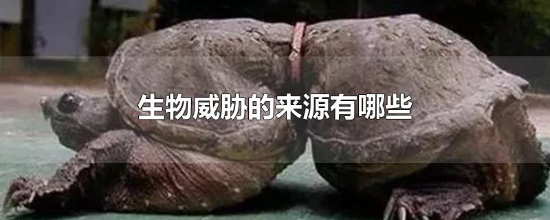 生物威胁的来源有哪些-最新生物威胁的来源有哪些整理解答