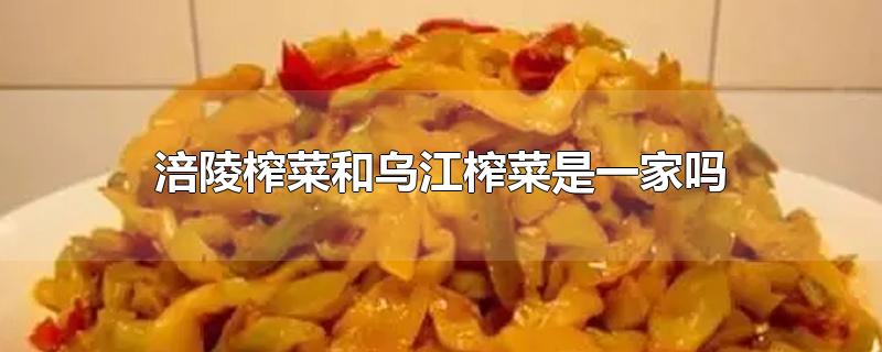 涪陵榨菜和乌江榨菜是一家吗-最新涪陵榨菜和乌江榨菜是一家吗整理解答